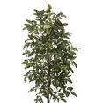 thumbnail image 1 of Nearly Natural 6080-S1 5 ft. Bracken Fern Artificial Plant, 1 of 1