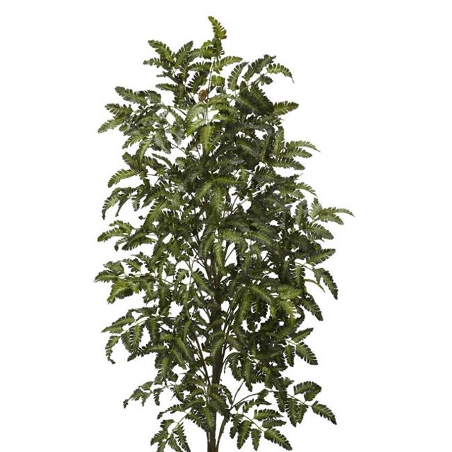 Nearly Natural 6080-S1 5 ft. Bracken Fern Artificial Plant