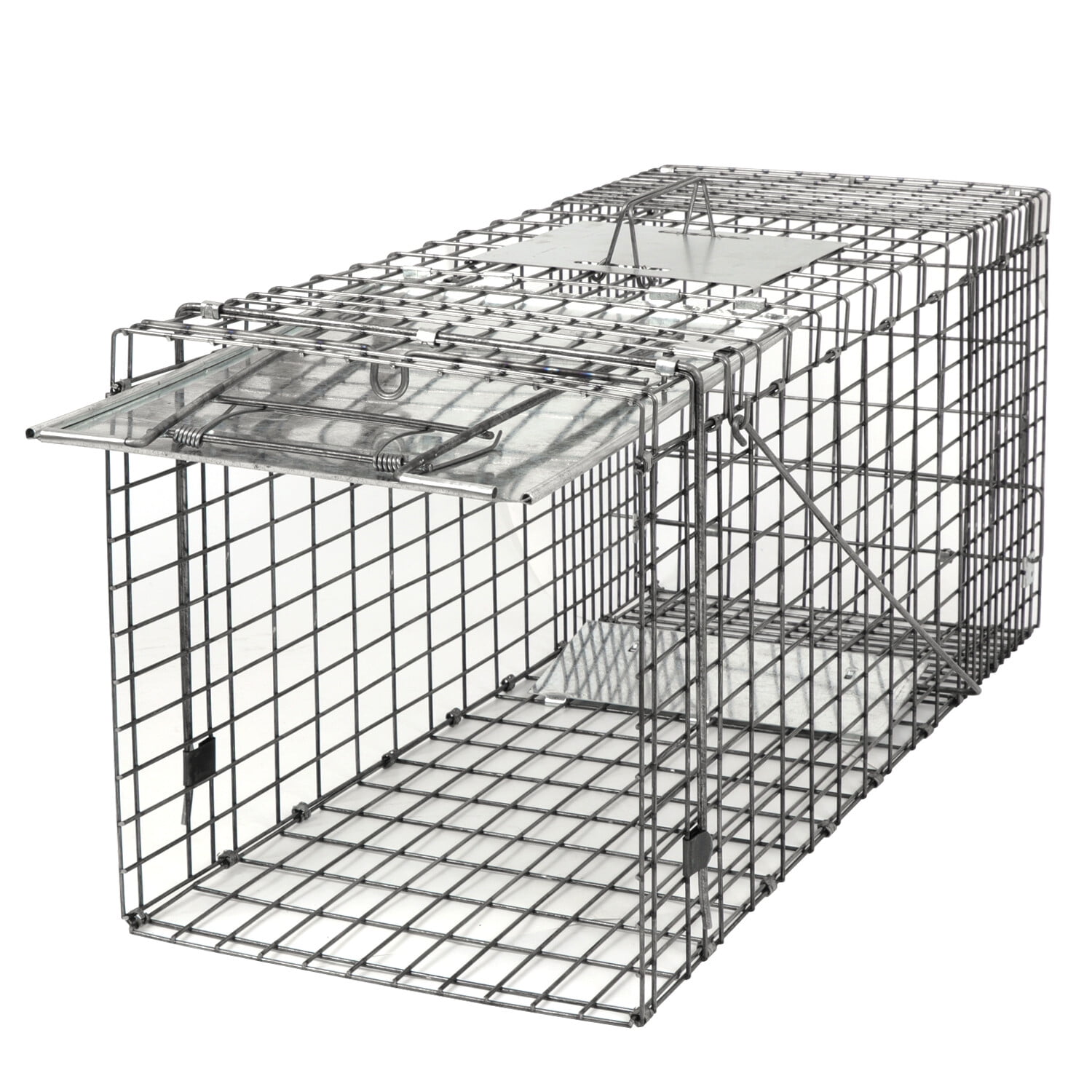 Humane Small Live Animal Trap Control Steel Cage 32x12.5x12 Raccoon  Skunk Cat