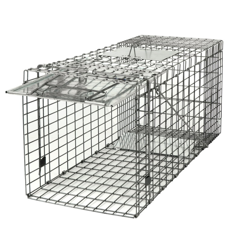 Humane Way Folding 32 Inch Live Humane Animal Trap Safe Traps For All  Animals Raccoons Cats Groundhogs Opossums 32x10x12, Bl… in 2023