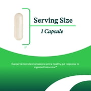 البحث عن الصحة ProBiota HistaminX - مكمل هضمي لدعم صحة الأمعاء - دعم الهيستامين مع Lactobacillus Plantarum و Lactobacillus Salivarius - دعم صحة المناعة والجلد - 60 كبسولة