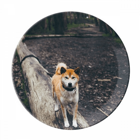 

Japanese Dog Pet Animal Picture Plate Decorative Porcelain Salver Tableware Dinner Dish
