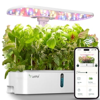 Hydropoonics Grow Box - Cash Crop Plus - Vertical Single Chamber 2 Plant  Hydroponic System Indoor Gardening - Grow Your Own Herb Veggies. -  Walmart.com