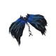 thumbnail image 3 of Capa de chal de plumas jinwen gótica para disfraz de Halloween Azul y negro, 3 of 8