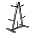 thumbnail image 1 of CAP Barbell A-style 1" Standard Weight Plate Stand, 1 of 4