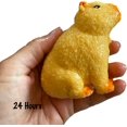 thumbnail image 3 of 1 Grow a Capybara in Water - Add Water and it Grows Toy Fun Science Expanding Novelty Magic Absorbent Polymer Toy (RANDOM COLOR), 3 of 8