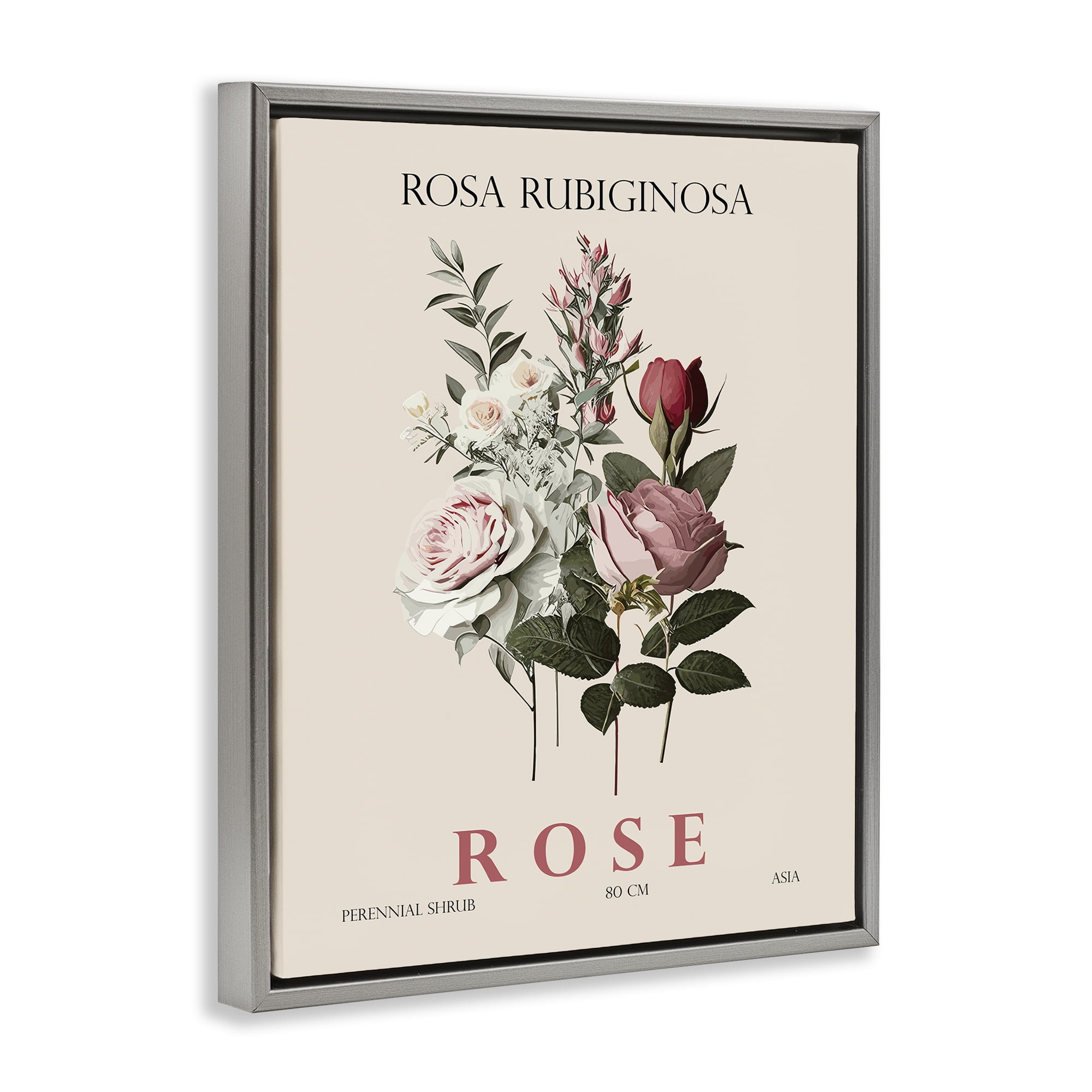 Stupell Industries Natural Rose Bundle Gray Framed Floater Canvas Wall Art, design by Christopher Giampietro