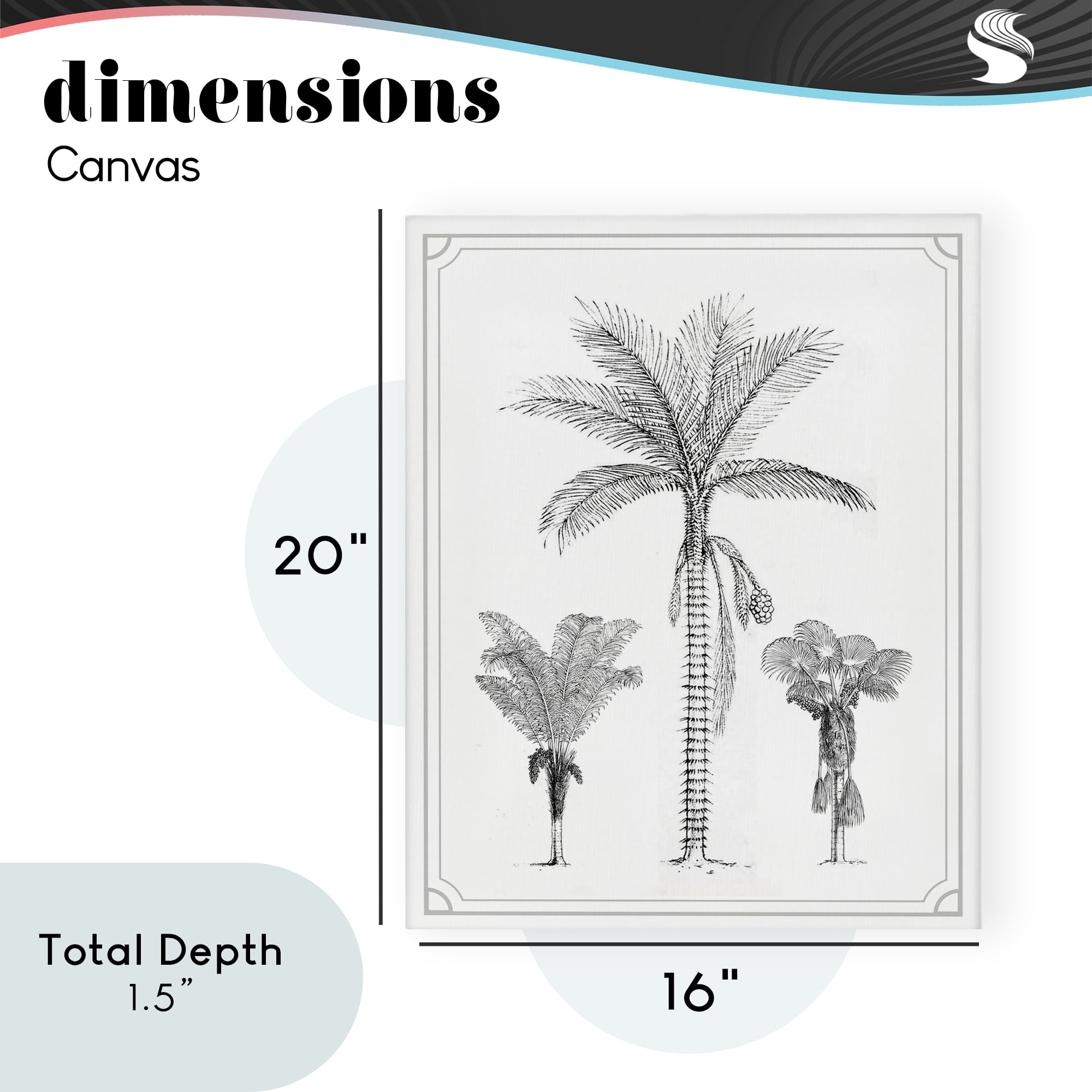 Palm Tree Trio Sketches Canvas Wall Art, design by Lettered and Lined