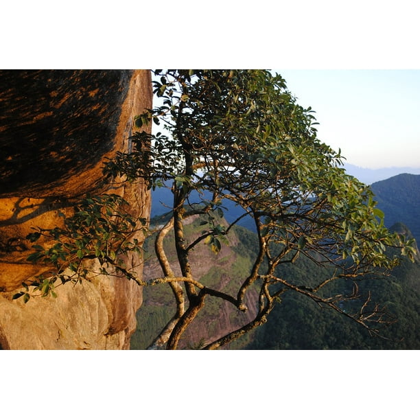 Pedra Da G A Vea Landscape Sol Sunrise Nature Light 12 Inch By 18 Inch Laminated Poster With Bright Colors And Vivid Imagery Comes Framed With A 12x18 Frame Walmart Com Walmart Com Pedra Da G A Vea Landscape Sol Sunrise Nature Light 12 Inch By 18 Inch Laminated Poster With Bright Colors And Vivid Imagery Comes Framed With A 12x18 Frame Walmart Com Walmart Com