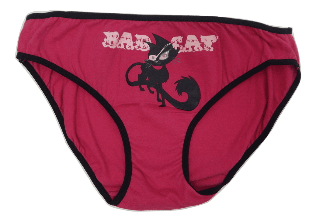BAD CAT Juniors Panty Hipster Brief (Size 14, Pink Magenta)