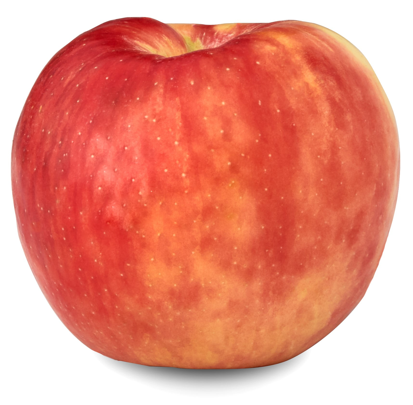 honey crisp apple honey crisp apple