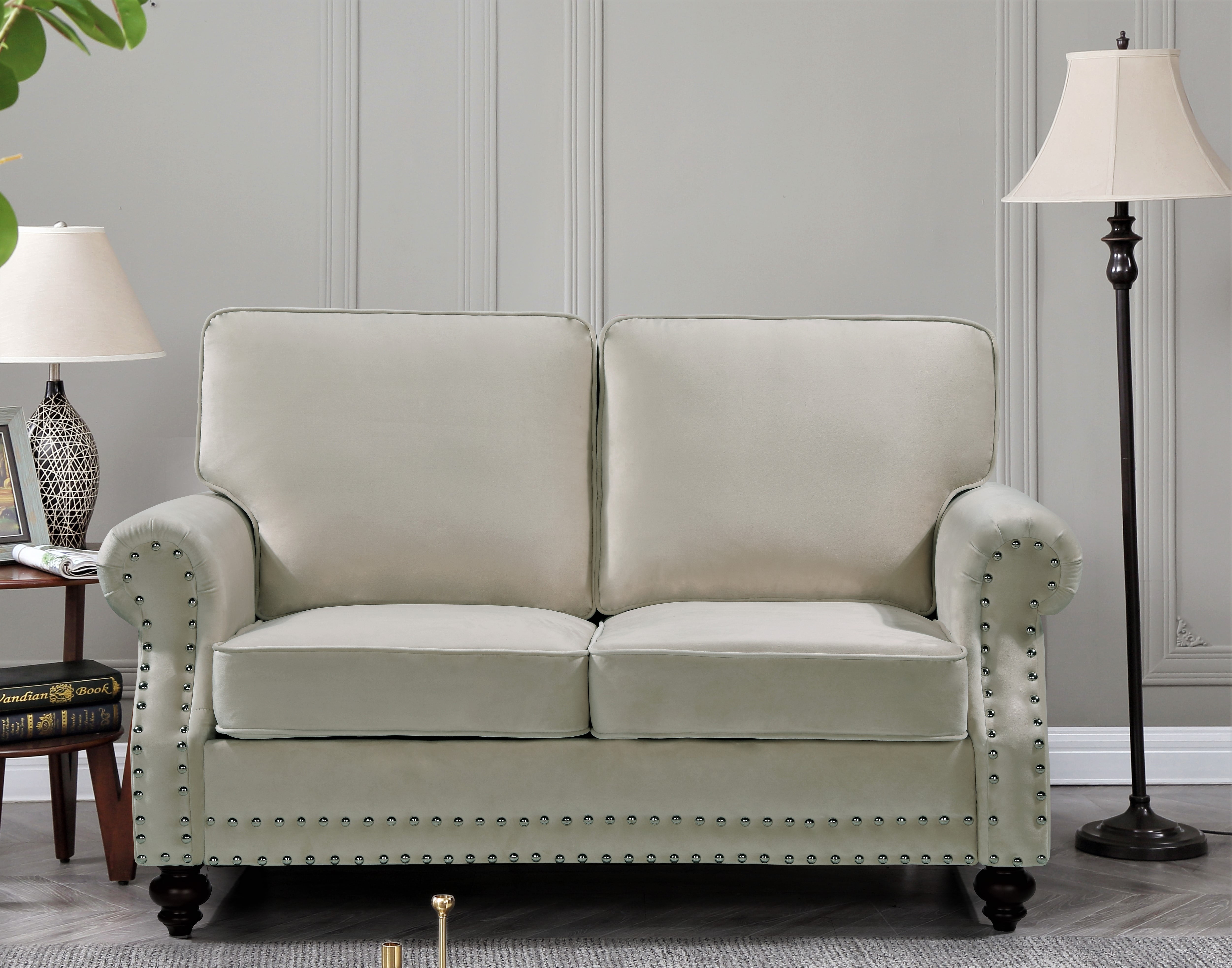 Uspridefurniture Feingold 2Pcs Velvet Living Room Set,Beige
