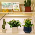 thumbnail image 2 of Luz LED para el crecimiento de plantas, acuario cuántico de interior, plántulas, paisaje, espectro completo, sincronización, planta verde, planta carnosa, 2 of 5