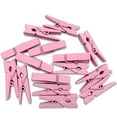thumbnail image 1 of Toystoory 100 unids/bolsa 35mm clavijas de artesanías papel para teléfono Clips para fotos Scrapbooking fiesta Peg Oficina artesanía Clip Rosa, 1 of 6