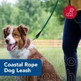 thumbnail image 2 of Correa para perro Coastal Rope, suave, de nailon trenzado, color morado, 1,5 m, 2 of 7