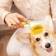 thumbnail image 4 of Cepillo de Baño para Mascotas Cepillo de Baño de Silicona Cepillo de Masaje para Perros Peine para Mascotas Cepillo de Limpieza para Mascotas, 4 of 5