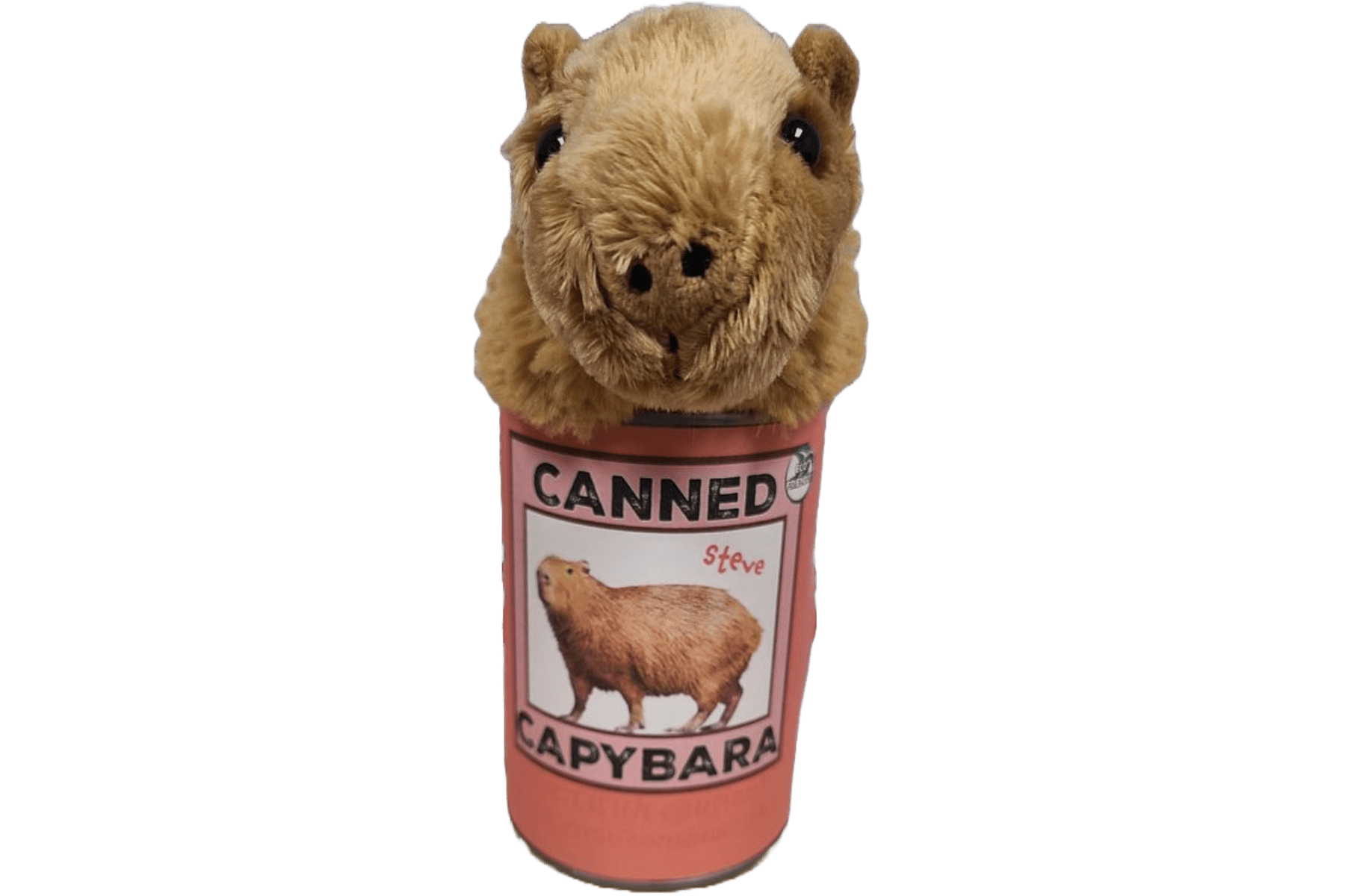 Canned Capybara | Stuffed Plush Toy | Ecofriendly Unique Fun Gift!
