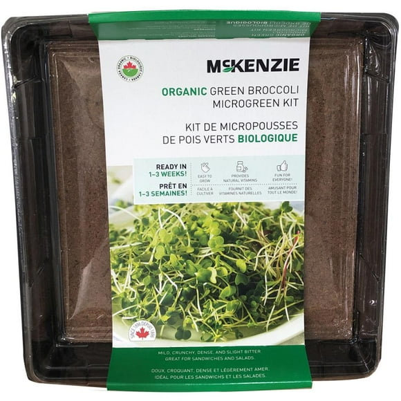 Broccoli Microgreens Grow Kit