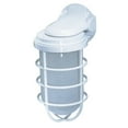 thumbnail image 2 of 1 Light - 10" - Industrial Style - Surface Mount w/Frosted Glass, 2 of 4
