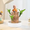thumbnail image 1 of Madera Brasileña con Bandeja y Lindo Monje Planta de Madera de la Suerte Brasileña Plantas de Escritorio, 1 of 9