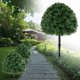 thumbnail image 3 of Enchufe De Tierra Árbol topiario artificial de boj de 70 cm, planta artificial con estaca para interior y exterior, decoración verde Yulucky, 3 of 9