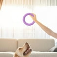 thumbnail image 5 of Ikohbadg Interactive Dog Toy for Teeth Grinding Training, Self-Play Tension Ring, Durable Food Grade Plastic, Stimulates Curiosity, Relieves Anxiety, Enhances Pet Communication, 5 of 6