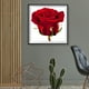 thumbnail image 3 of Cuadros Decorativos 5D DIY Taladro completo Forma redonda Flores Plantas Diamante de imitación Dibujo de diamante para el hogar Ndcxsfigh Nuevos Originales, 3 of 5