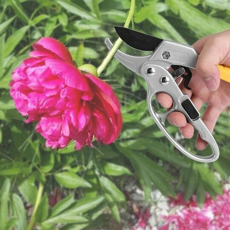 Premium Garden Shears, Pruning Scissors Gardening Tools, Pruners For  Flower, Bushes, Rose Fruit Tree For Florist, Yard Orchard The Plant Clippers,  Tree Trimming, Plant Flower Rose Pruning Shears - Temu