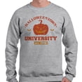 thumbnail image 2 of Halloweentown University Long Sleeve Shirt Unisex 3X-Large Grey, 2 of 5