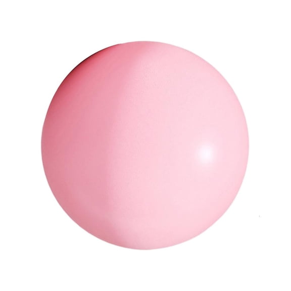 SDFGTstore Yoga Ball Gym Ball for Home Gym Pilates Yoga Balance Core Training, 25cm 10Inch