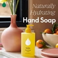 thumbnail image 4 of (Pack Of 12) Safely Soap Hand Liquid Bright 12 Fl Oz, 4 of 5