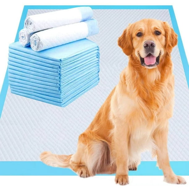 Basics Dog and Puppy Pads Leakproof Pee Pads with Quickdry Surface