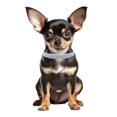 thumbnail image 2 of Mumup Rhinestone Dog Collars for Small Dogs, Pink Pu Leather Fancy Diamond Bling Cat Collar, Glitter Crystal Jeweled Girl Puppy Collars for Female Pet Dogs, 2 of 4