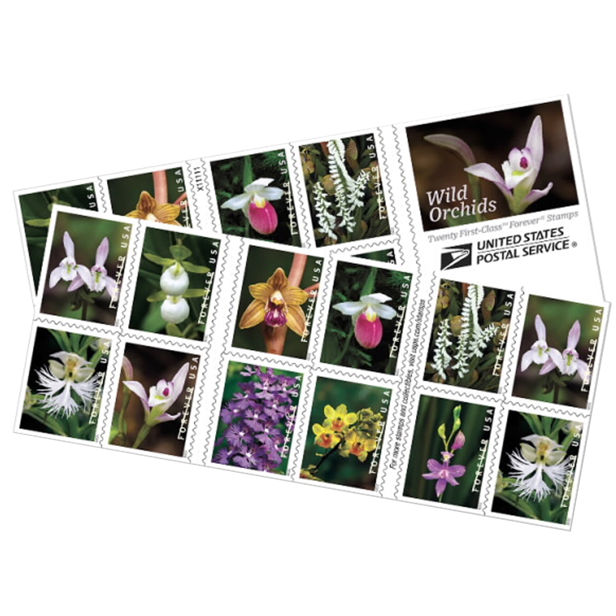 Wild Orchids Book Of Usps First Class Forever Postage Stamps Birthday Anniversary Wedding Celebration Stamps Walmart Com Wild Orchids Book Of Usps First Class Forever Postage Stamps Birthday Anniversary Wedding Celebration Stamps Walmart Com