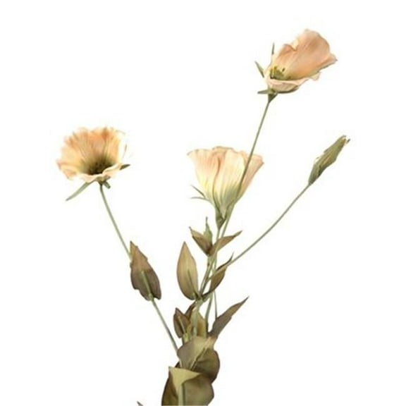 Distinctive Designs  DIY Flower 23 in. L Ivory Artificial Lisianthus x 3 Blooms  1 Bud  10 Leaves - Pack of 12