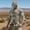 Camouflage, variant on COSFO Men Hoodies Ice Silk Camouflage Sun Protection Athletic Pullover Tops Long Sleeve with Face Mask Slim Fit Travel Hooded Mens Shirts