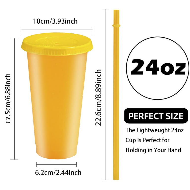Kensal Home Reusable Iced Coffee Cup (24 Oz/Venti), Leak Proof and Double Wall Insulated Iced Coffee Tumbler, Come with Reusable Plastic