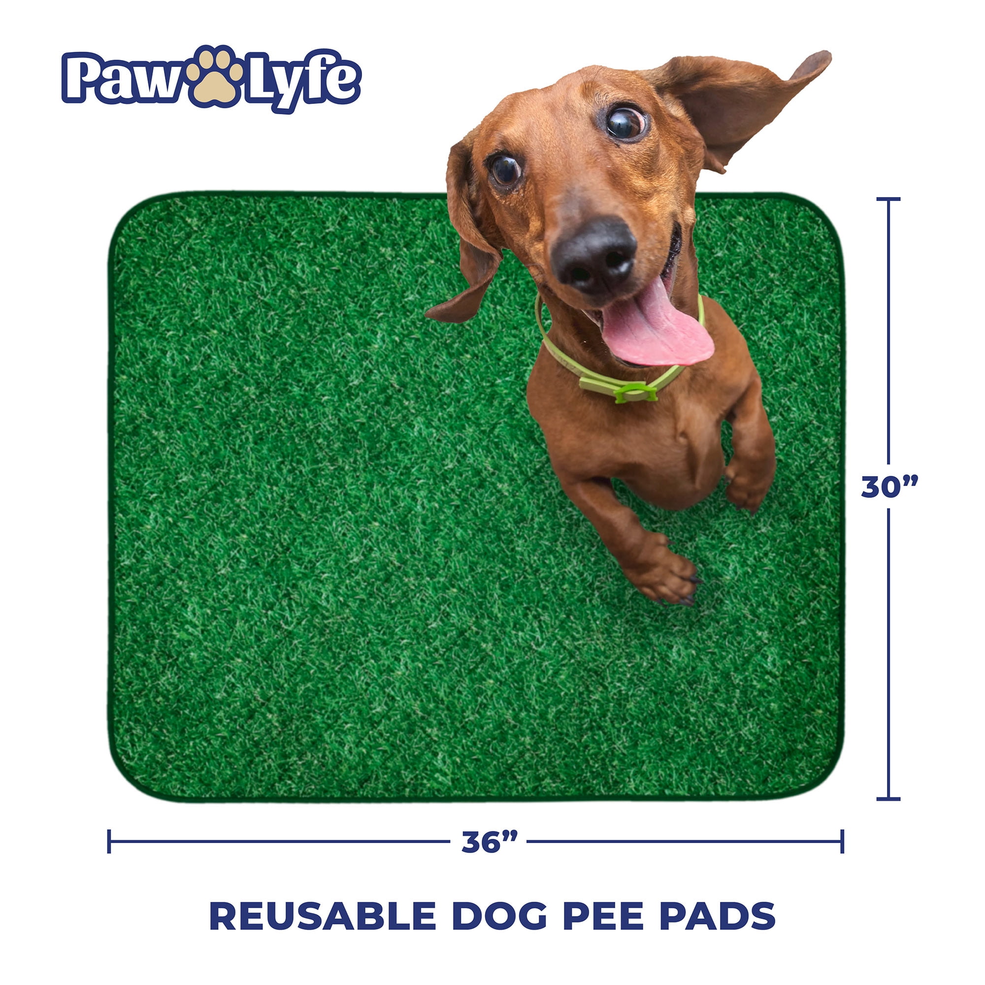 PawLyfe Dog Pee Pads, Reusable Puppy Pads, Pet Training Pads, Large Dog Pee Pad, Waterproof Pet Pads for Dog Bed Mat, Whelping Pads, Two 30"x36" Pads with Printed Grass Design