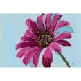 thumbnail image 3 of Butcher, Sarah 14x11 Black Modern Framed Museum Art Print Titled - Daisy Crazy, 3 of 5