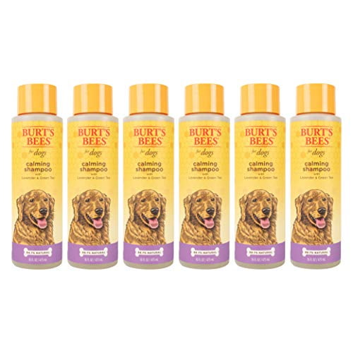 burt's bees calming shampoo