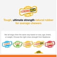 thumbnail image 4 of Juguete masticable Nylabone Strong MAX Cone para perros con sabor a ternera, 4 of 9