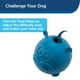 thumbnail image 3 of Dispensador de golosinas PetSafe Busy Buddy Hippster juguete masticable para perros, 3 of 5