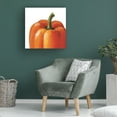 thumbnail image 4 of Lisa Audit 'Crunchy on White' Canvas Art, 4 of 4