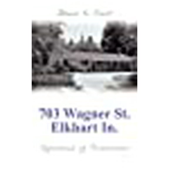 703 Wagner St. Elkhart In.: Reflections of Perseverence (Paperback)