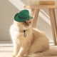 thumbnail image 4 of Sombrero De Vaquero | Sombrero De Vaquero Para Gatos Carnaval, Halloween, Fiesta Western, Juego De Rol, Fiesta Para Gatos, 4 of 5