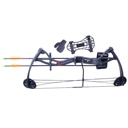 CenterPoint Wildhorn AYC2926 Compound Bow w/2 Arrows, Arm Guard, (Best Mid Level Compound Bow)