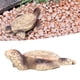 thumbnail image 4 of Tortuga De Simulación, Ilustraciones únicas, Buen Significado, Figuras De Tortuga De Simulación, Decoraciones Que Representan La Felicidad, Resina Multifunción Para Jardín OTVIAP Simulation Sea Turtle Ornament, 4 of 8