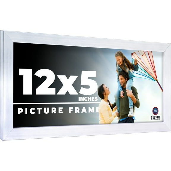 12x5 Frame Silver Stainless Steel Solid Wood Picture Frame | 0.75 Inch Moulding Width | Includes UV