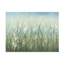 Trademark Fine Art Tim OToole Bliss Grass Canvas Wall Art - 18x24