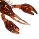 thumbnail image 3 of 10pcs Soft Fishing Lure Crawdad Bait PVC Shrimp Artificial Soft Lure Baits for Bass Fishing, 3 of 5